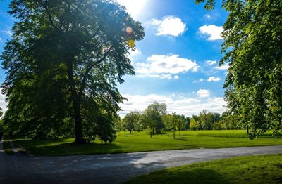 لندن-هاید-پارک-Hyde-Park-137917