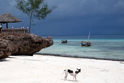 جزایر زنگبار Zanzibar