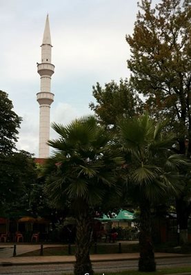 باتومی-مسجد-باتومی-Mosque-Batumi-139714