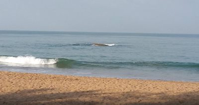 گوا-ساحل-آگوندا-Agonda-Beach-141206