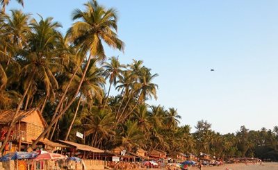 گوا-ساحل-پالولم-Palolem-Beach-141248