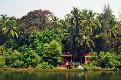 ساحل پالولم Palolem Beach