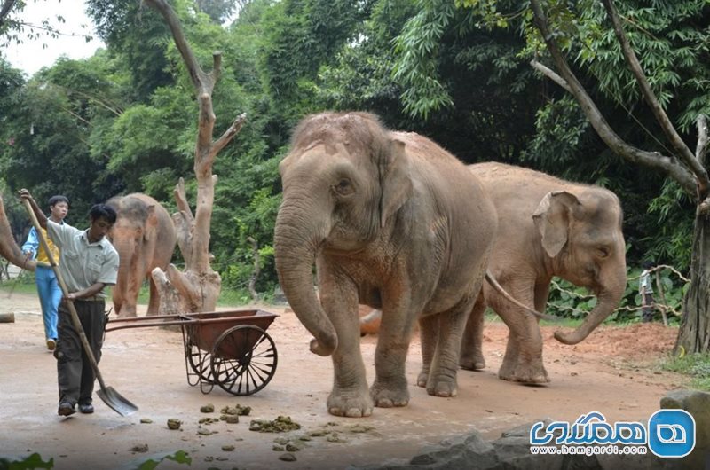 سافاری پارک Chimelong Xiangjiang Safari Park