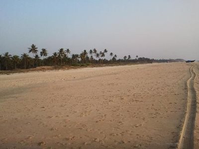 گوا-ساحل-کانسالیم-Cansaulim-Beach-141797