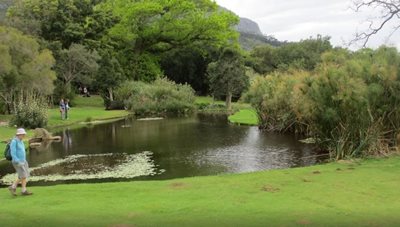 کیپ-تاون-باغ-گیاه-شناسی-ملی-کریستن-بوش-Kirstenbosch-National-Botanical-Gardens-143516