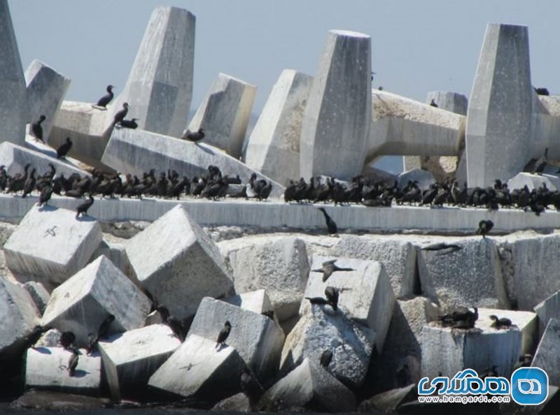 جزیره روبن Robben Island