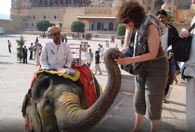 جیپور-کاخ-شهر-جیپور-City-Palace-of-Jaipur-145127