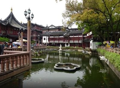 شانگهای-باغ-یو-Yu-Garden-146212