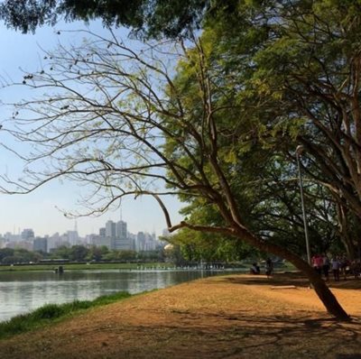 سائوپائولو-پارک-ایبیراپوئرا-Ibirapuera-Park-147760