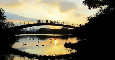 سائوپائولو-پارک-ایبیراپوئرا-Ibirapuera-Park-147769