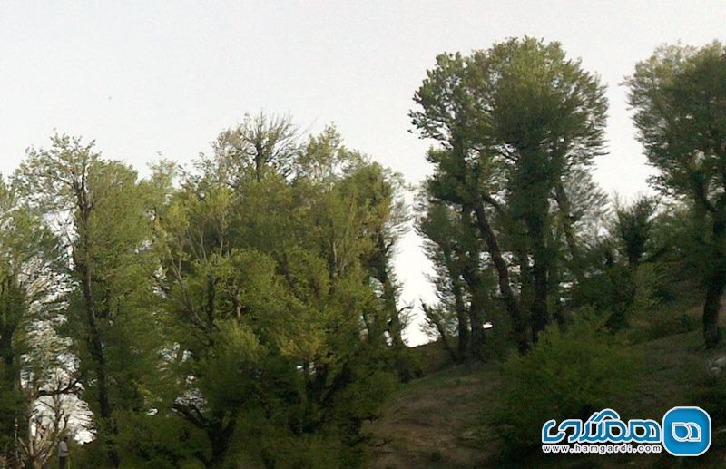 روستای خمده