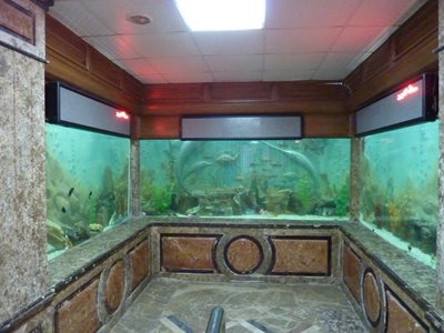 آکواریوم اسکندریه Alexandria Aquarium