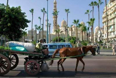 اسکندریه-هتل-Mercure-Alexandria-Romance-Hotel-149474