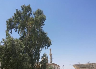 کربلا-مرقد-حر-بن-ریاحی-The-shrine-Hurr-ibn-Yazid-Riahi-149637