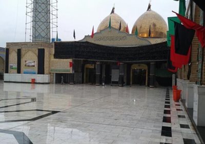 کربلا-حرم-طفلان-مسلم-بن-عقیل-Shrine-of-the-two-sons-of-Muslim-Ibn-Aqeel-149567