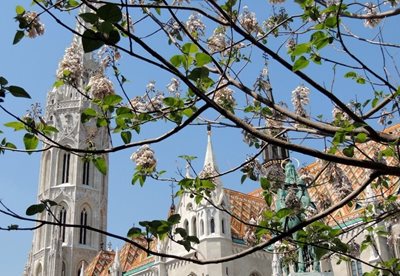 بوداپست-کلیسای-متهیس-Matthias-Church-150072