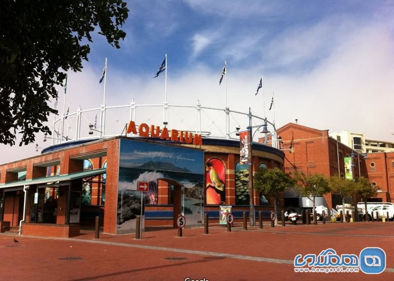 آکواریوم دو اقیانوس the two oceans aquarium