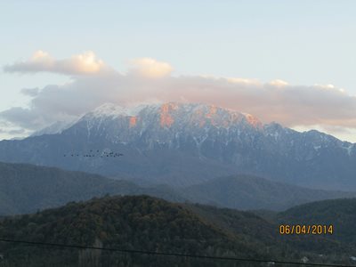 رشت-رستوران-خانوادگی-مجلل-151189