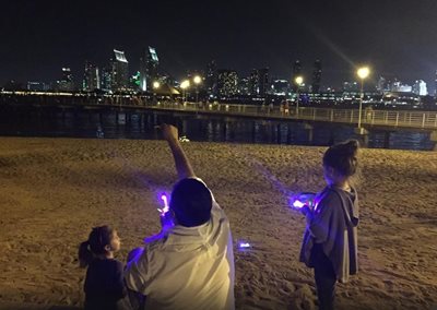 بازار کرونادو فری لندینگ The Coronado Ferry Landing