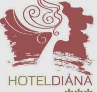 پچ-هتل-دیانا-Hotel-Diana-153695