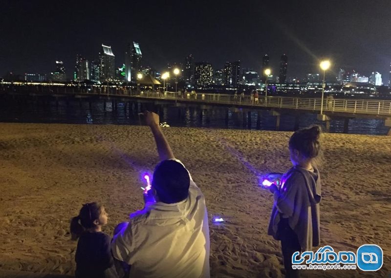 بازار کرونادو فری لندینگ The Coronado Ferry Landing