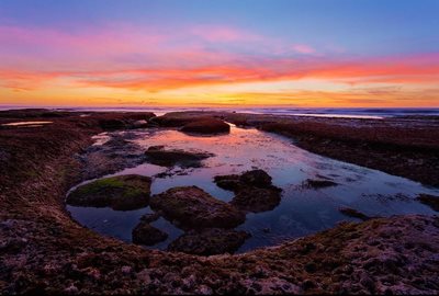 سان-دیگو-ساحل-لا-جولا-La-Jolla-Cove-153817