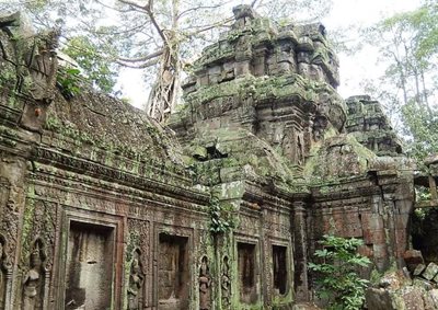 معبد تاپروهم Ta Prohm