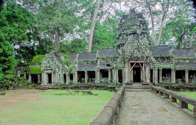 سیم-ریپ-معبد-تاپروهم-Ta-Prohm-156044