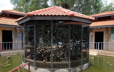 سیم-ریپ-موزه-لندماین-کامبوج-Cambodia-Landmine-Museum-156133