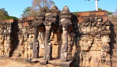 تراس الفنتس Elephants Terrace