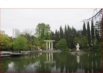 سوچی-پارک-دندراریوم-سوچی-Arboretum-Botanical-Garden-Dendrarium-157676