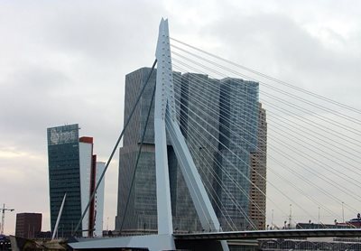 رتردام-پل-اراسموس-Erasmus-Bridge-158144