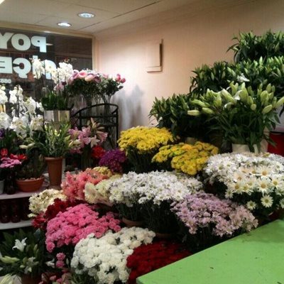 مرکز خرید ترکاوز Turkuaz AVM