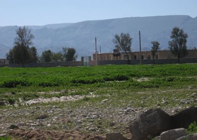 گراش-دهستان-فداغ-160254