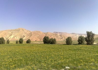 گراش-دهستان-فداغ-160257