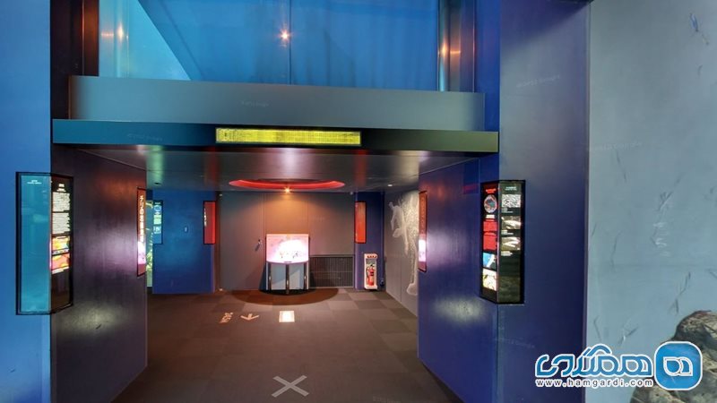 آکواریوم کایوکان Osaka Aquarium Kaiyukan