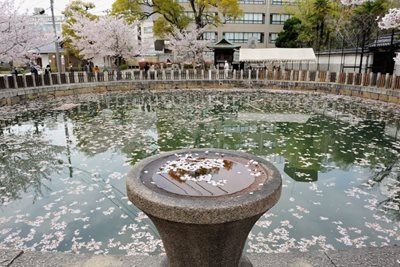 اوساکا-معبد-شیتنوجی-Shitennoji-Temple-160955