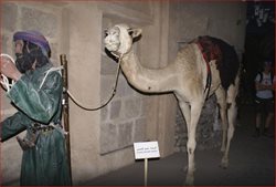 موزه دبی Dubai Museum