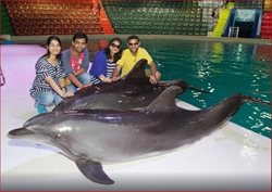 دلفیناریوم دبی Dubai Dolphinarium