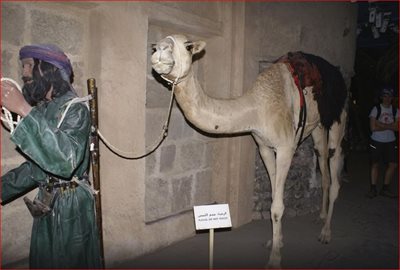 دبی-موزه-دبی-Dubai-Museum-163128