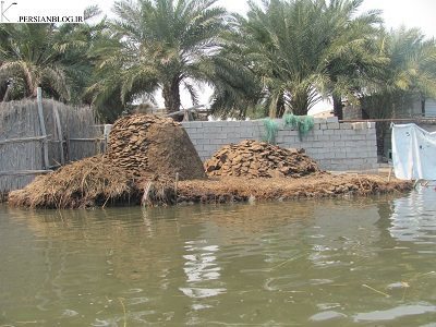 شادگان-روستای-صراخیه-163440
