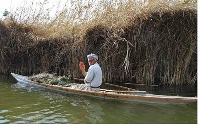 شادگان-روستای-صراخیه-163502