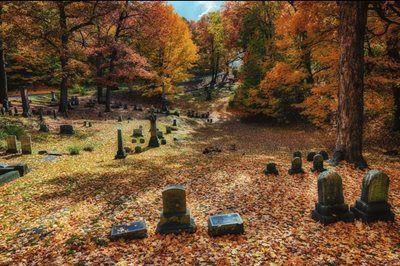 روچستر-گورستان-کوه-امید-Mount-Hope-Cemetery-164938