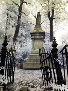 روچستر-گورستان-کوه-امید-Mount-Hope-Cemetery-164939