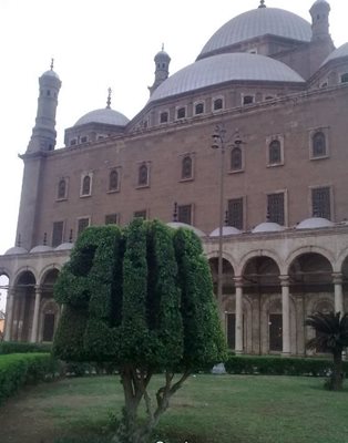 قاهره-مسجد-محمد-علی-Mohamed-Ali-Mosque-165294