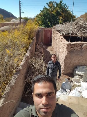 رفسنجان-روستای-کویری-داوران-165604