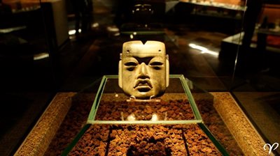 مکزیکو-سیتی-موزه-معبد-مایور-Museo-del-Templo-Mayor-165750