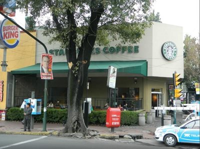 مکزیکو-سیتی-استارباکس-Starbucks-165995