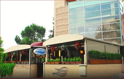 آنکارا-رستوران-کلیوز-بالیک-Kolyoz-Balik-Restaurant-166893