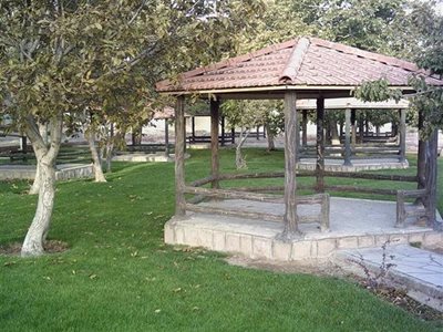 تبریز-باغ-پارک-شمس-تبریزی-167048